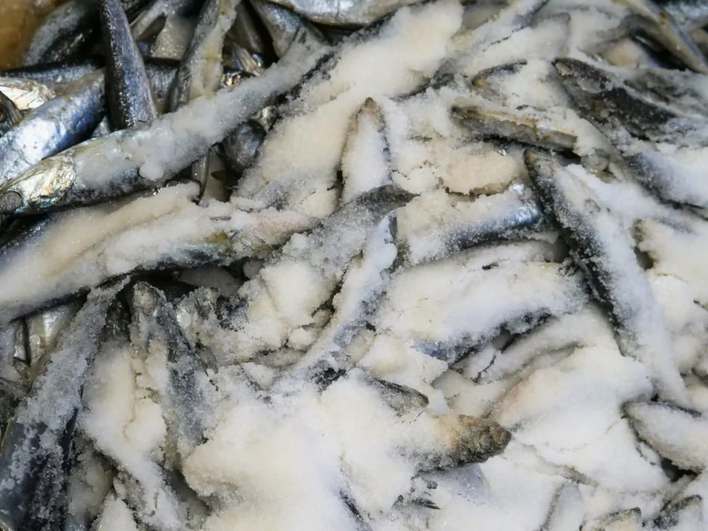 Frozen seafood maintained at safe temperatures during cold chain transport